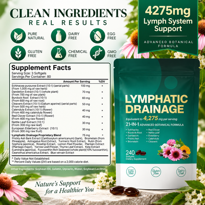 Daily Lymphatic Drainage Complex